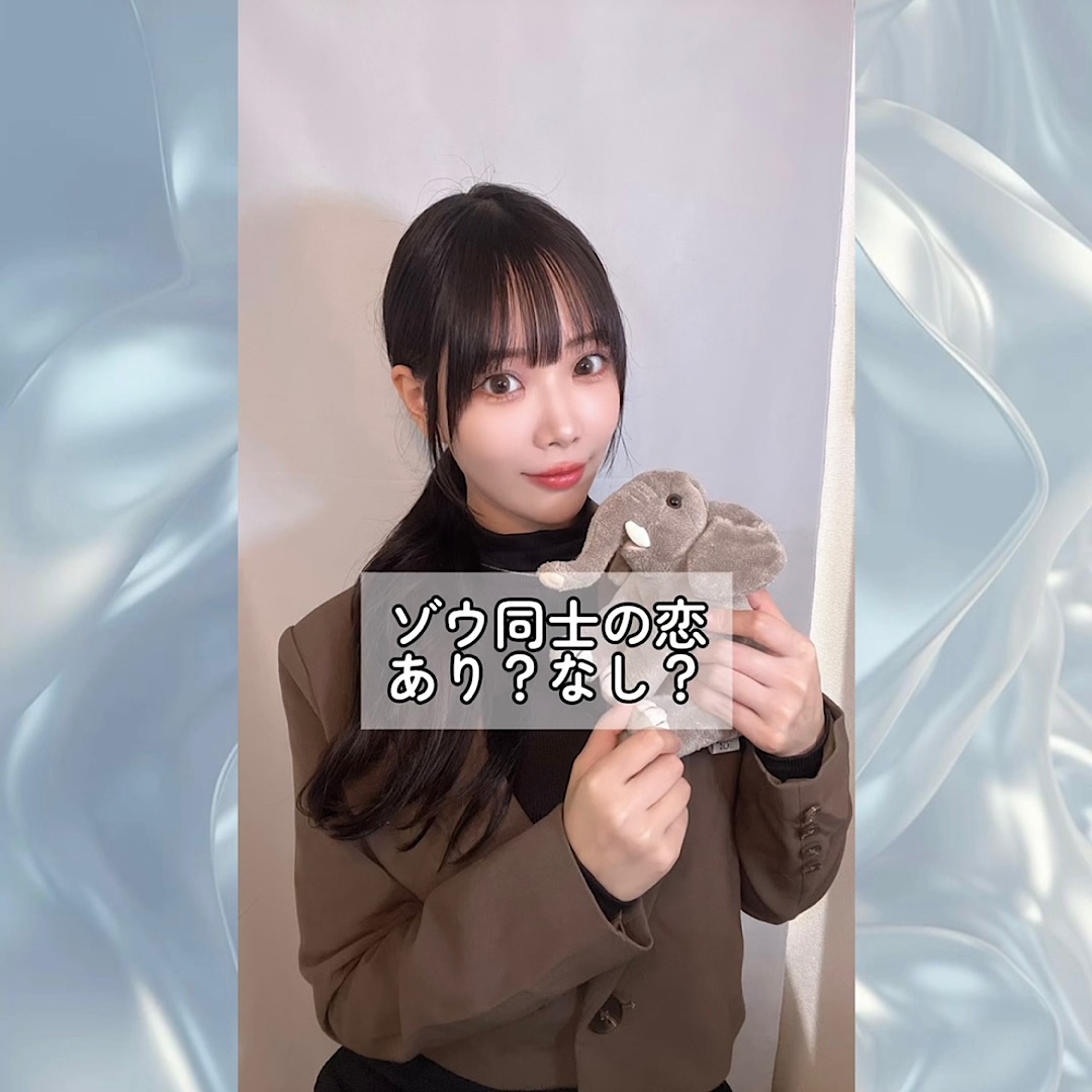 【動物占い】同じキャラ同士の恋あり？なし？