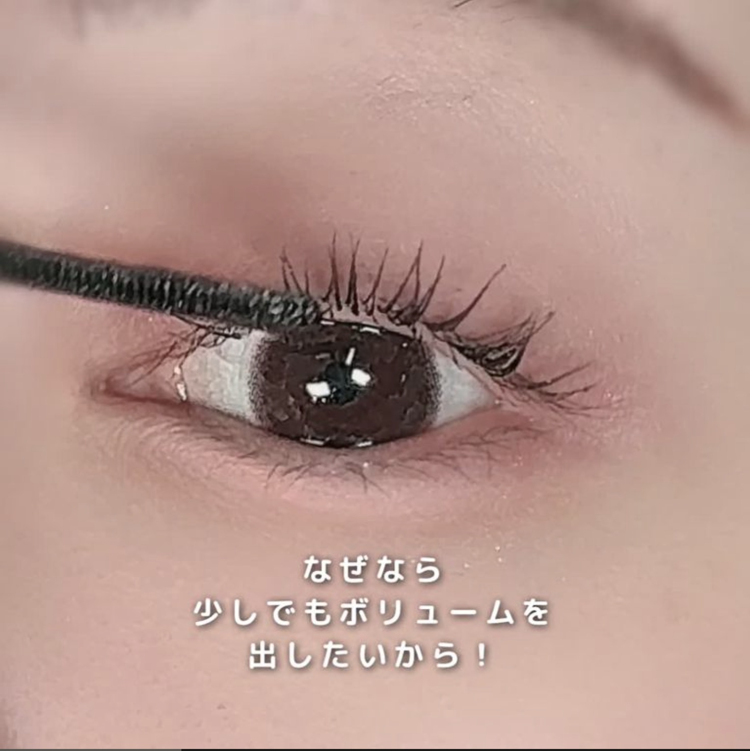 みんなどっち派?まつ毛とアイラインの色問題！